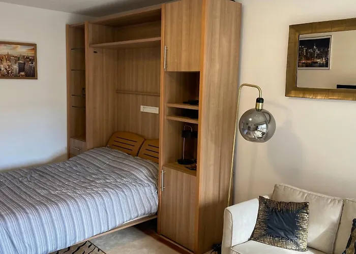 Un Studio De Luxe Les Champs Elysees